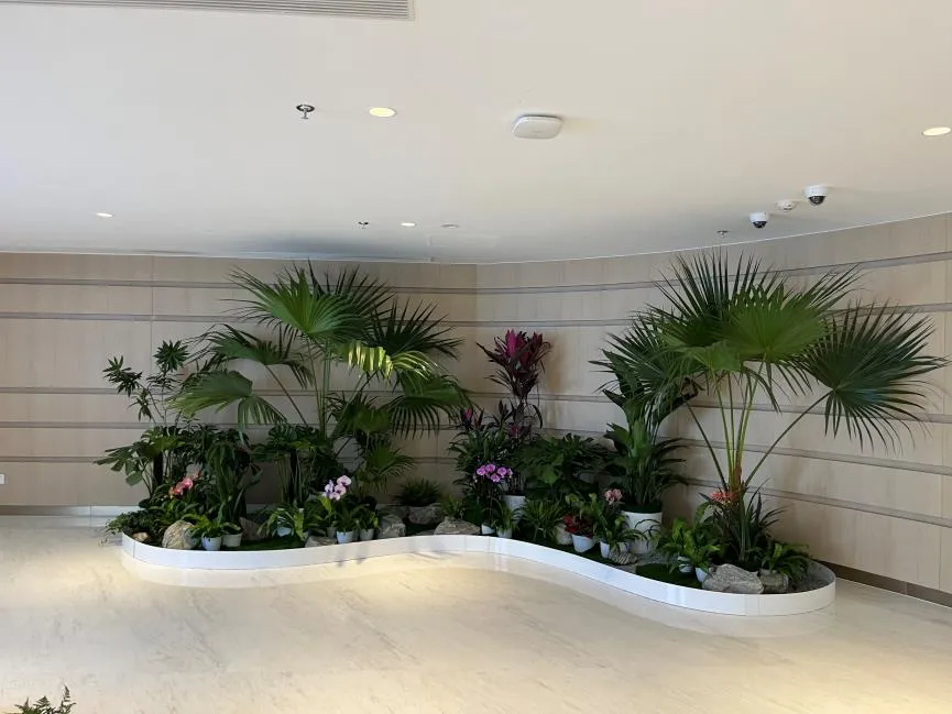 镇海植物租赁方案来袭，给你意想不到的惊喜